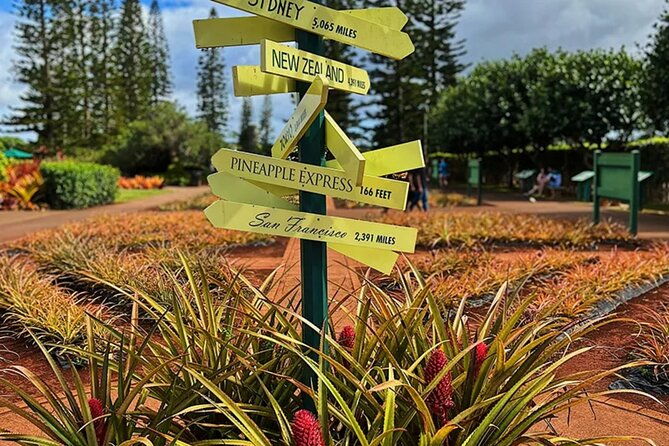 ultimate-north-shore-adventure-full-day-hawaiian-experience