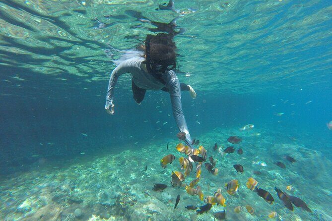 Ultimate Nusa Penida Experience 2D1N Private Tour  All-Included - Practical Considerations and Tips