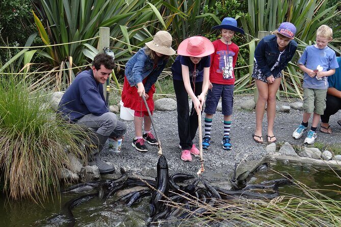 Ultimate Overnight Kiwi Experience - Practical Tips for Visitors