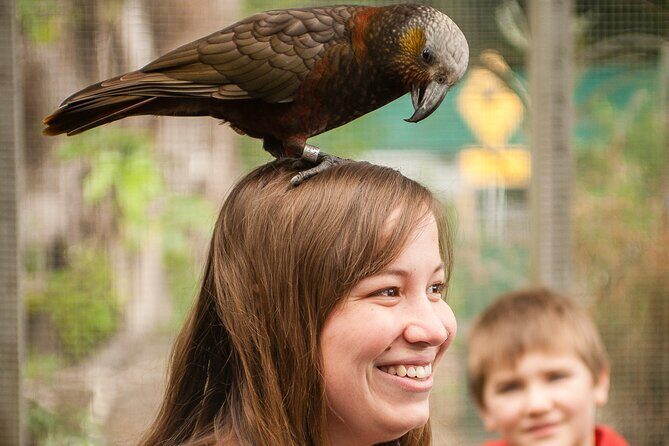 Ultimate Overnight Kiwi Experience - The Sum Up