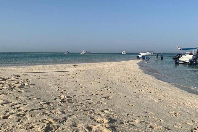 Ultimate Private Jarada Island Escape Tour - What Makes This Tour Special?