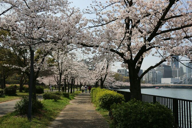 ultimate-private-osaka-walking-experience-walk-with-a-local