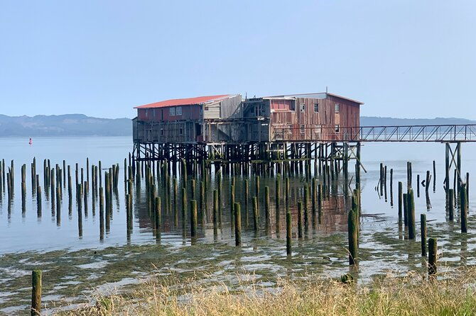 ultimate-scavenger-astoria