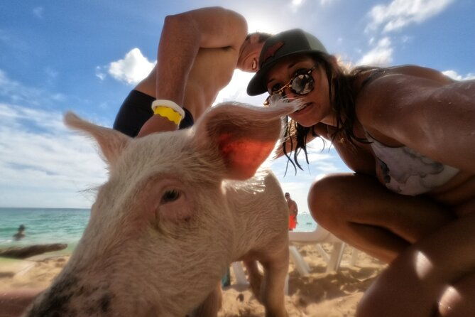 ultimate-seaxscape-small-group-pigs-turtles-snorkel-lunch-pu-do
