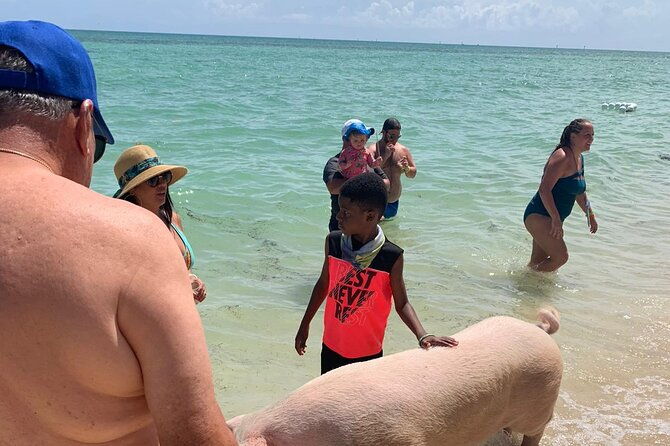 ultimate-seaxscape-small-group-pigs-turtles-snorkel-lunch-pu-do