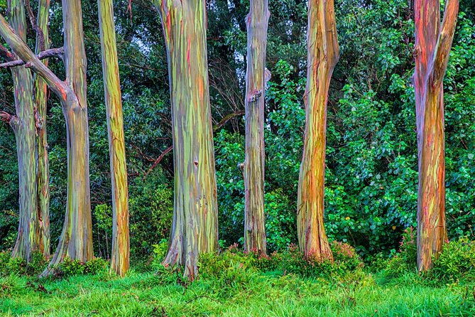 ultimate-self-driving-audio-tour-of-road-to-hana-maui