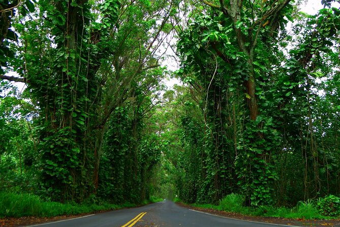 ultimate-self-guided-audio-driving-tour-of-kauai-na-pali-waimea-hawaii-2