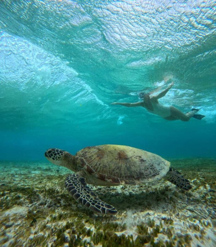 Ultimate Snorkeling Escape to the Wonders of Gili Island - Practical Details & Tips