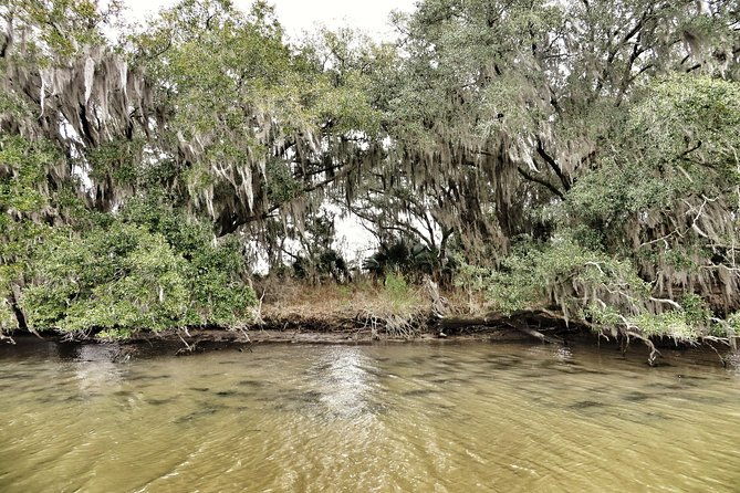 ultimate-swamp-tour-experience-with-transportation-from-new-orleans-2