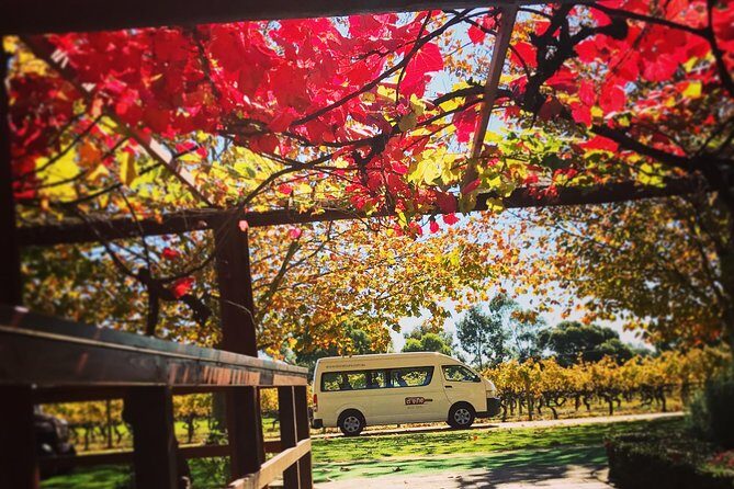 Ultimate Swan Valley Food and Wine Day Trip from Perth - The Value and Pricing