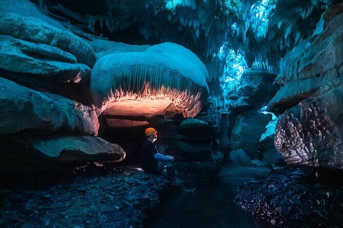 Ultimate Waitomo Glowworm Tour  Private, Tailored, After Dark - The Value of the Tour