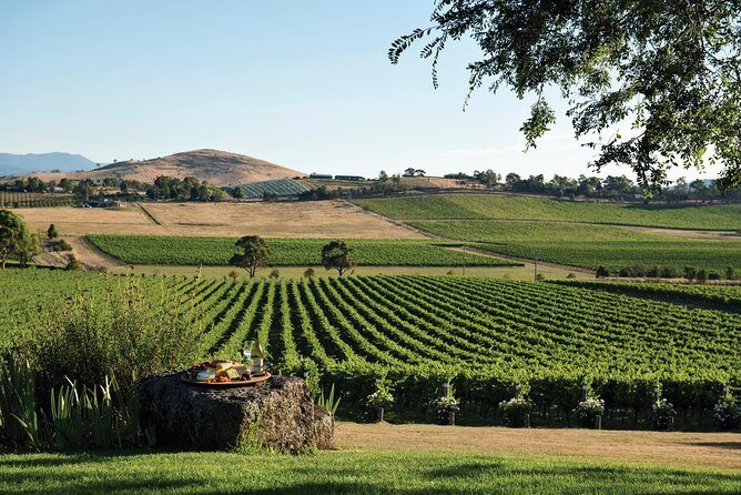 Ultimate Yarra Valley Chandon, Soumah & De Bortoli Cheese & Wine - Practical Tips for Future Travelers