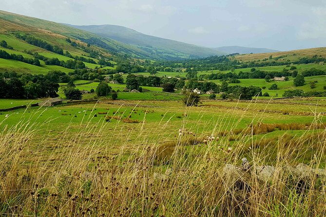 ultimate-yorkshire-dales-tour-magnificent-views-photo-stops-expert-guide