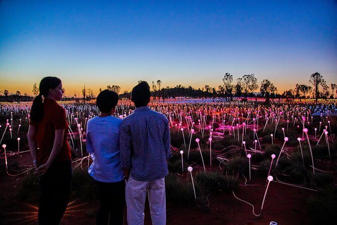 Uluru (Ayers Rock) Field of Light Sunrise Tour - Early Morning Pickup and Transfer