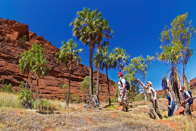 Uluru (Ayers Rock) Sunset + Outback Barbecue Dinner & Star Talk - Logistics & Group Size