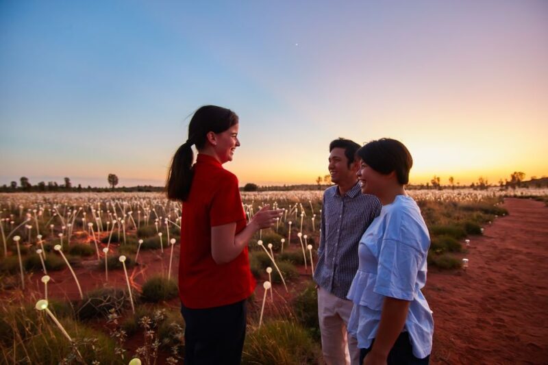 Uluru: Field of Light Sunrise Tour with Hot Drinks - The Sum Up