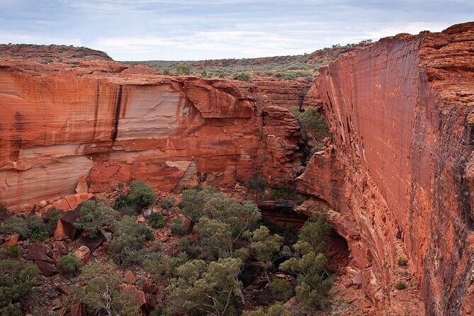 Uluru, Kata Tjuta and Kings Canyon Camping Safari from Ayers Rock - The Experience in Detail