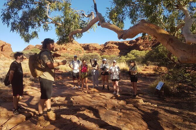 Uluru, Kata Tjuta and Kings Canyon Camping Safari from Ayers Rock - Who Should Consider This Tour?