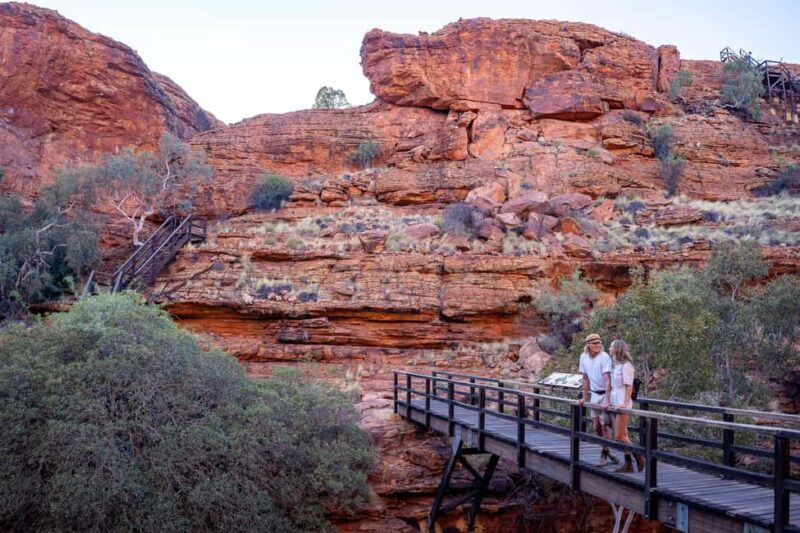Uluru, Kata Tjuta & Kings Canyon Camping Tour - Exploring the Red Centre: What to Expect from the Tour