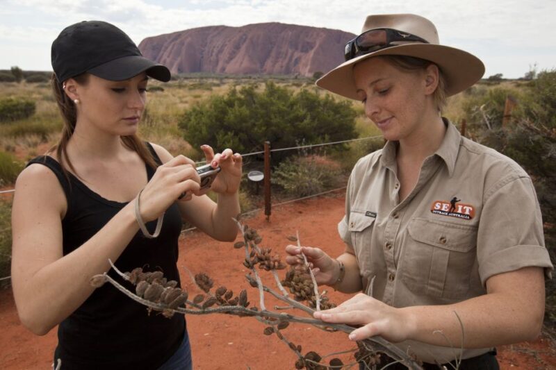 Uluru: Small Group Guided Tour with Sunset Refreshments - Cultural Significance and Stories