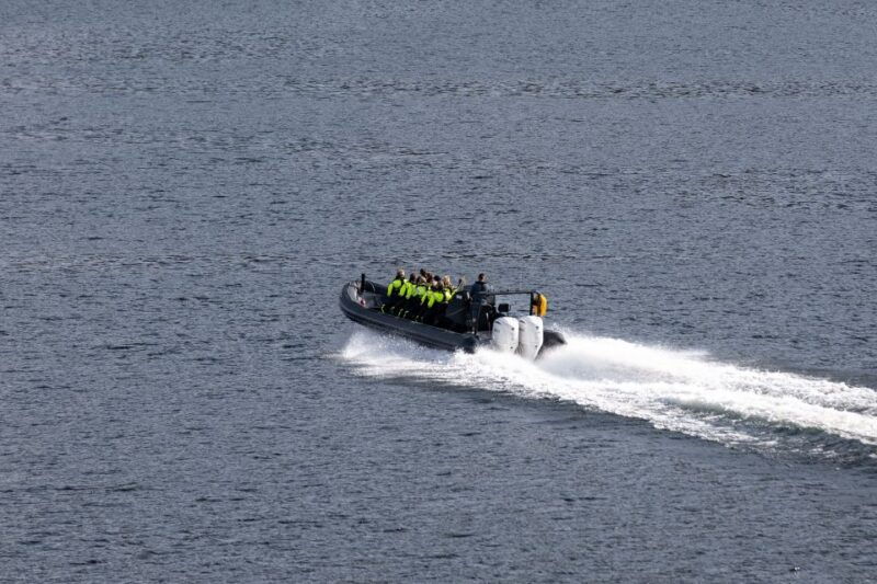 ulvik-hardangerfjord-ultimate-rib-safari