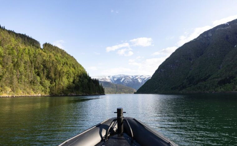ulvik-hardangerfjord-ultimate-rib-safari
