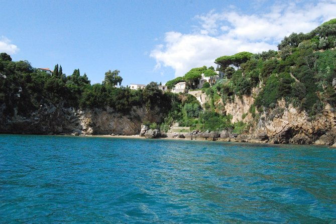 ulysses-coast-boat-tours