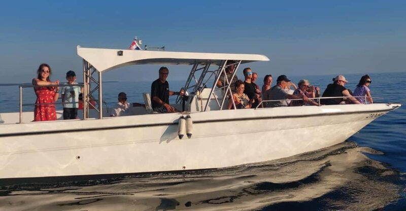 umag-dolphinwatching-sunset-panorama-tour