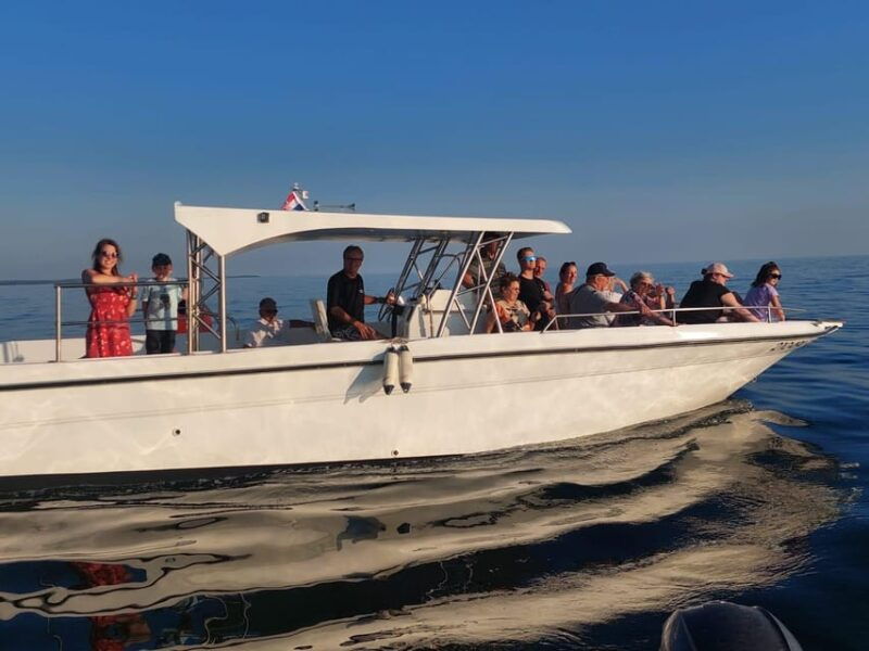 umag-dolphinwatching-sunset-panorama-tour