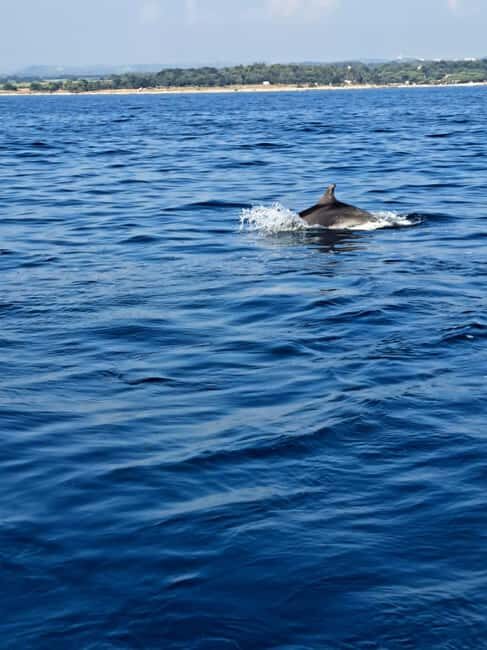 Umag; private boat rental with captain - What Does the Price Cover?