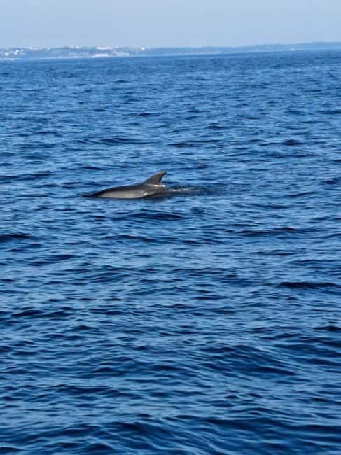 Umag; private speedboat rental with captain - FAQs