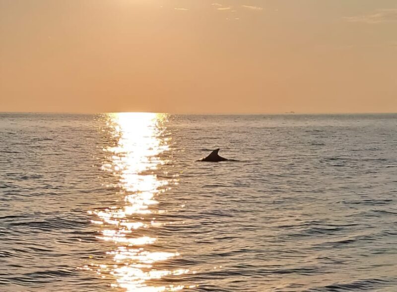 Umag; private speedboat rental with captain - Final Thoughts