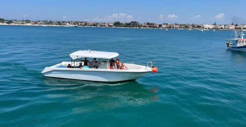 umag-snorkeling-dolphinwatching-morning-boat-tour