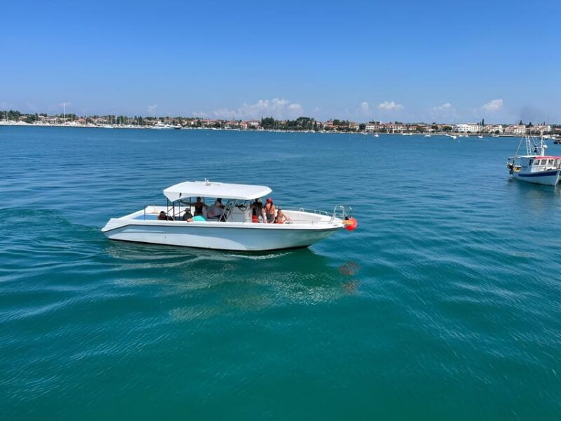 umag-snorkeling-dolphinwatching-morning-boat-tour