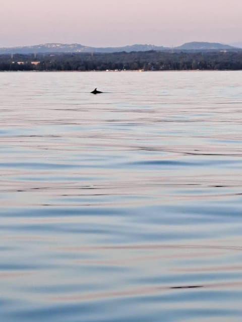 umag-snorkeling-dolphinwatching-morning-boat-tour