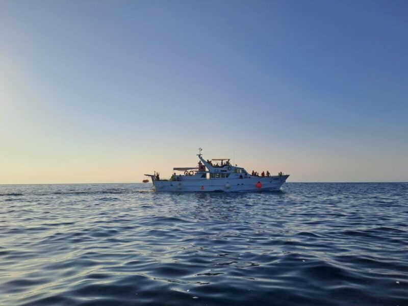 umag-sunset-cruise-with-dolphin-spotting