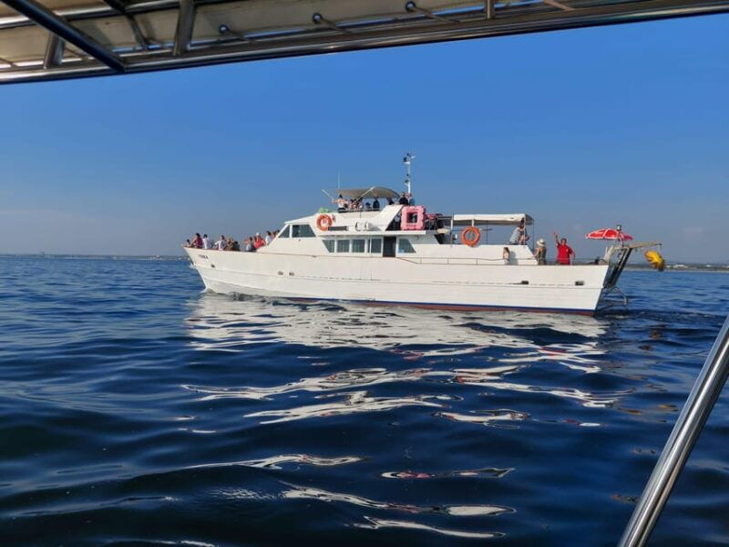 umag-swimmingpanorama-welcome-drink-and-dolphin-spotting