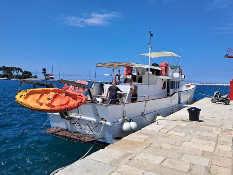 umag-swimmingpanorama-welcome-drink-and-dolphin-spotting