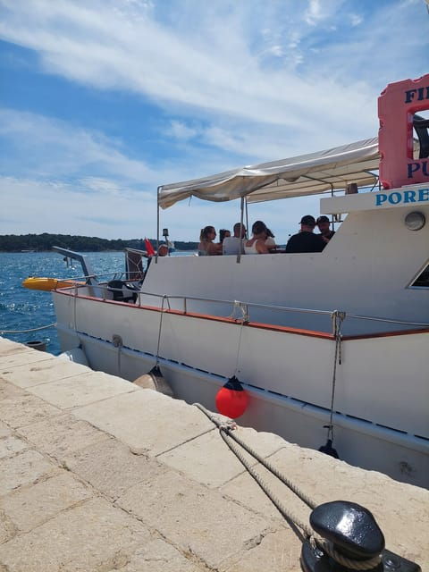 umag-swimmingpanorama-welcome-drink-and-dolphin-spotting