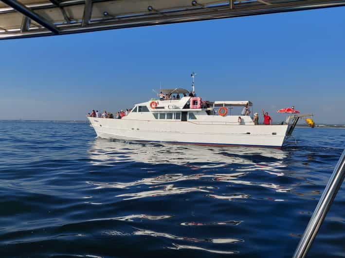 umag-swimmingpanorama-welcome-drink-and-dolphin-spotting