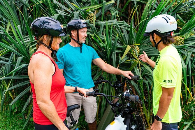 umauma-falls-ebike-tour-in-hakalau