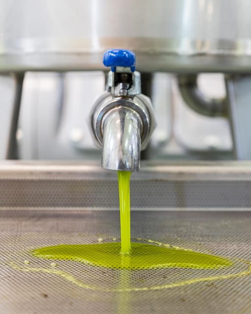 umbria-e-bike-rental-and-fresh-ev-olive-oil-tasting