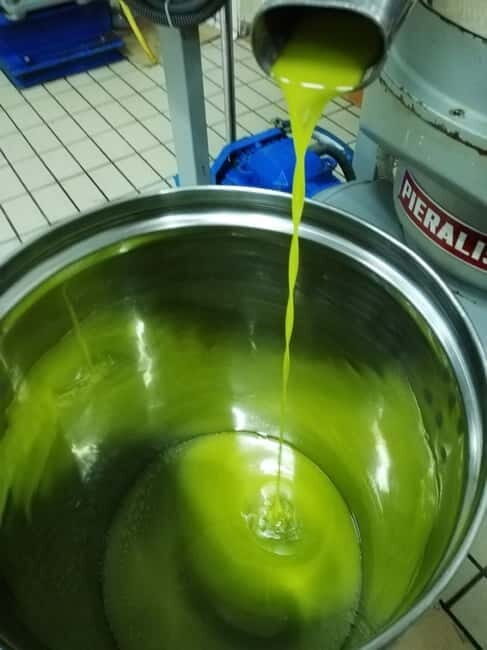 Umbria: guided tour to traditional oil mill + tasting - FAQs
