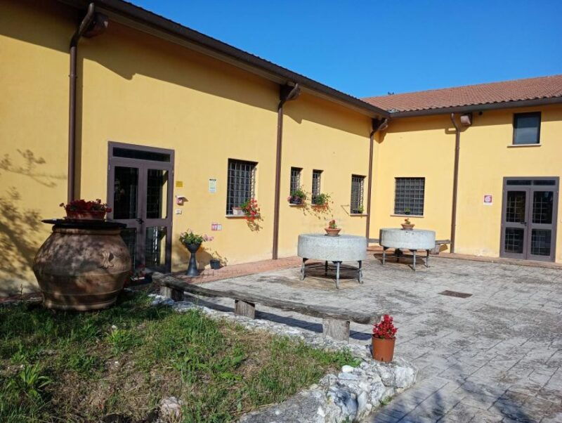 umbria-guided-tour-to-traditional-oil-mill-tasting