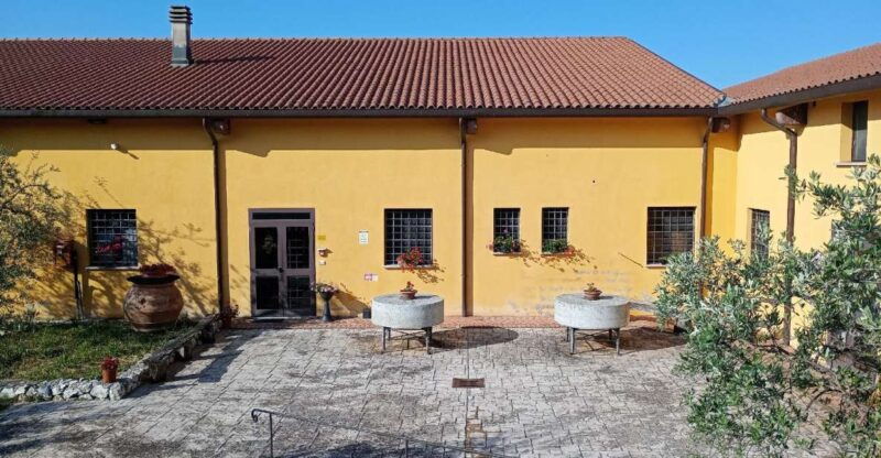 umbria-guided-tour-to-traditional-oil-mill-tasting