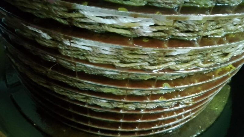 umbria-guided-tour-to-traditional-oil-mill-tasting