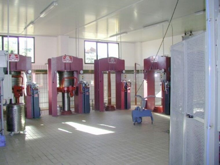 umbria-guided-tour-to-traditional-oil-mill-tasting