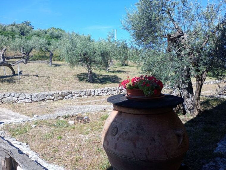 umbria-guided-tour-to-traditional-oil-mill-tasting