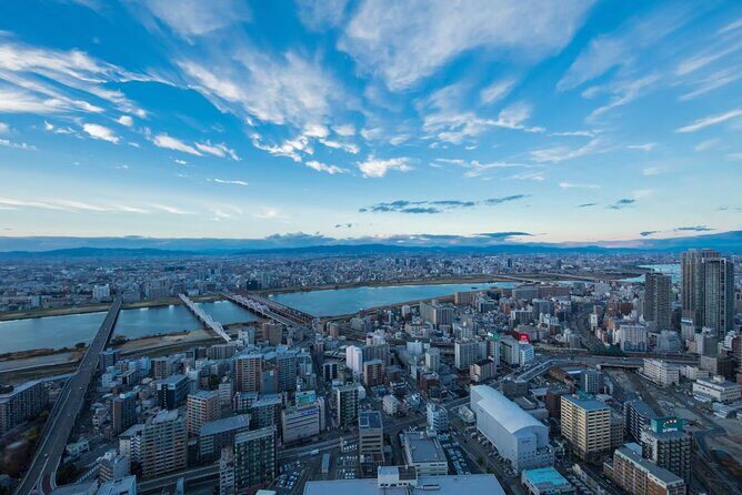Umeda Sky Building and Kuchu Teien Observatory Ticket - Who Should Book This Tour?