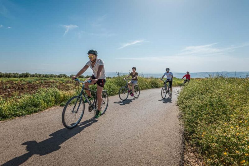 Umm Qais: Guided Light Cycling Tour with Equipment - Key Points